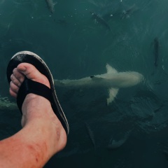 Алексей Николаевич, 19.06, Москва