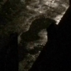 Maryam Shahidova, 17.09.1994, Грозный