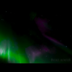 Виталий Кузнецов