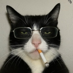 Ада Рокитанская, 12.05.1987, Королёв