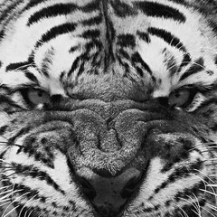 Ахмед Нохчиев, 02.06, Грозный