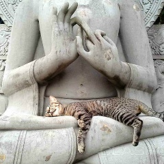 Дмитрий Djlightside, 15.03.1988, Москва