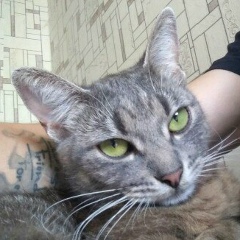 Павел Басист, 26.04, Hanau