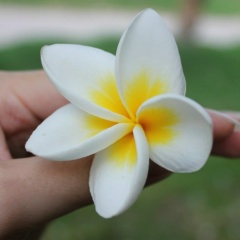 Юлианна Лукина, 25.07.1988, Волжский