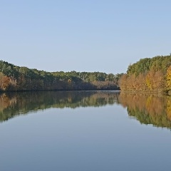 Дмитрий Кочанов, 04.01, Москва