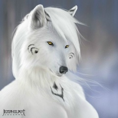 Алиса Котова, 01.04, Kyōto