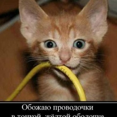 Мухтар Жолдасбек, 27.04.1997, Кызылорда