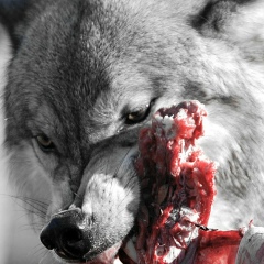 Андрей Орлов, Москва