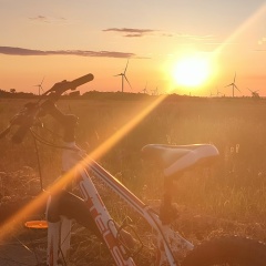 Ольга Андриянова