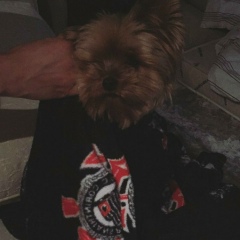 Soraya Lima, 25.07, Fortaleza