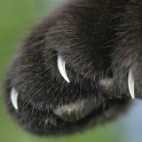 Иван Шефер, 27.03, Екатеринбург