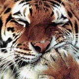 Konstantin Sergeevich, 03.07, Москва