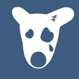 Anton Chigrov, 17.04.1990