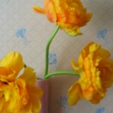 Екатерина Ниценкова, 05.06, Санкт-Петербург