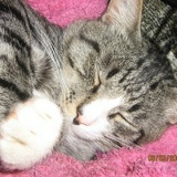 Вика Вересова, 21.06.1999, Чудово