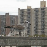 Daniyar K8, 26.01, Бишкек