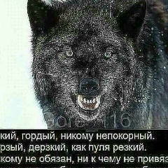 Адлан Сайханов, 29.10.1999, Гудермес