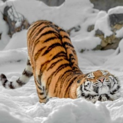 Ольга Соловьева, 30.06, Москва