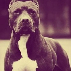 Владимир Долматов, 07.04.1997, Москва