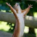 Максим Королев, 01.03.1980, Москва