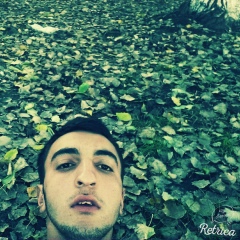 Logman Naibov, Тбилиси