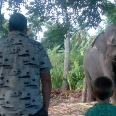 Ванька Ильин, 12.03.1920, Санкт-Петербург