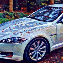 Александр Виноградов, 09.08.1985, Санкт-Петербург