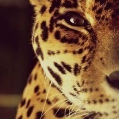 Ablai-Khan Baimuratov, 28.12.1992
