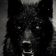 Александр Лебедев, 24.01, Алматы