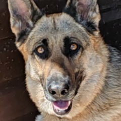 Венера Хазиахметова, Уфа