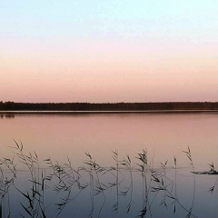 Янис Памарин, 22.01, Москва