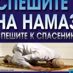Алина Алиева, Москва