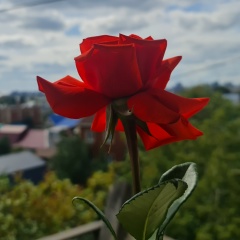 Алексей Полетаев, 01.10, Челябинск