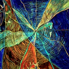 Виктор Бербушенко, 15.08, Красноярск