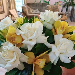 Анастасия Долгушева