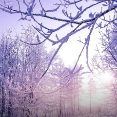 Татьяна Семёновна, 01.02.1979, Москва