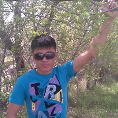 Isa Shimbay