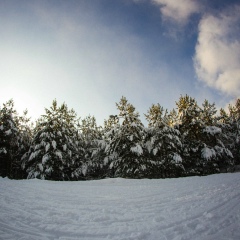 Вячеслав Валсечяв, 27.02.1985, Москва