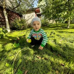 Андрей Шариков, Борисов