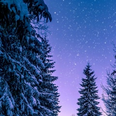 Анна Сухоцкая, 24.05, Тихвин