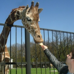 Петр Яковенко, 30.09.1984