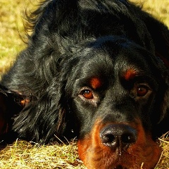 Иван Каледин, 23.04.2005, Красавино