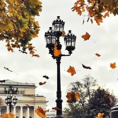 Михаил Николаевич, Санкт-Петербург