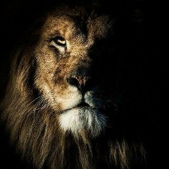 Адиль Бегметов, 07.08, Астана