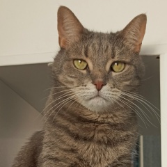 Елена Анишина, 26.07, Санкт-Петербург