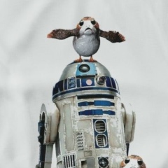 Тимофей Бобков, 23.06.1989, Москва