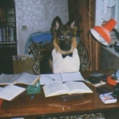 Роман Подвойный, 24.06.1997, Иркутск