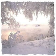 Софи Корвус, 03.02.2003, Жаворонки