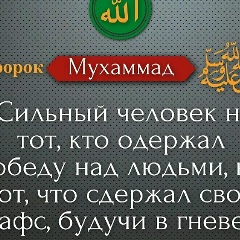 Ясир Ак