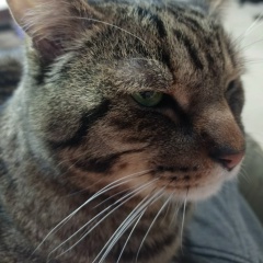 Даниил Мишунин, 18.02.1983, Москва